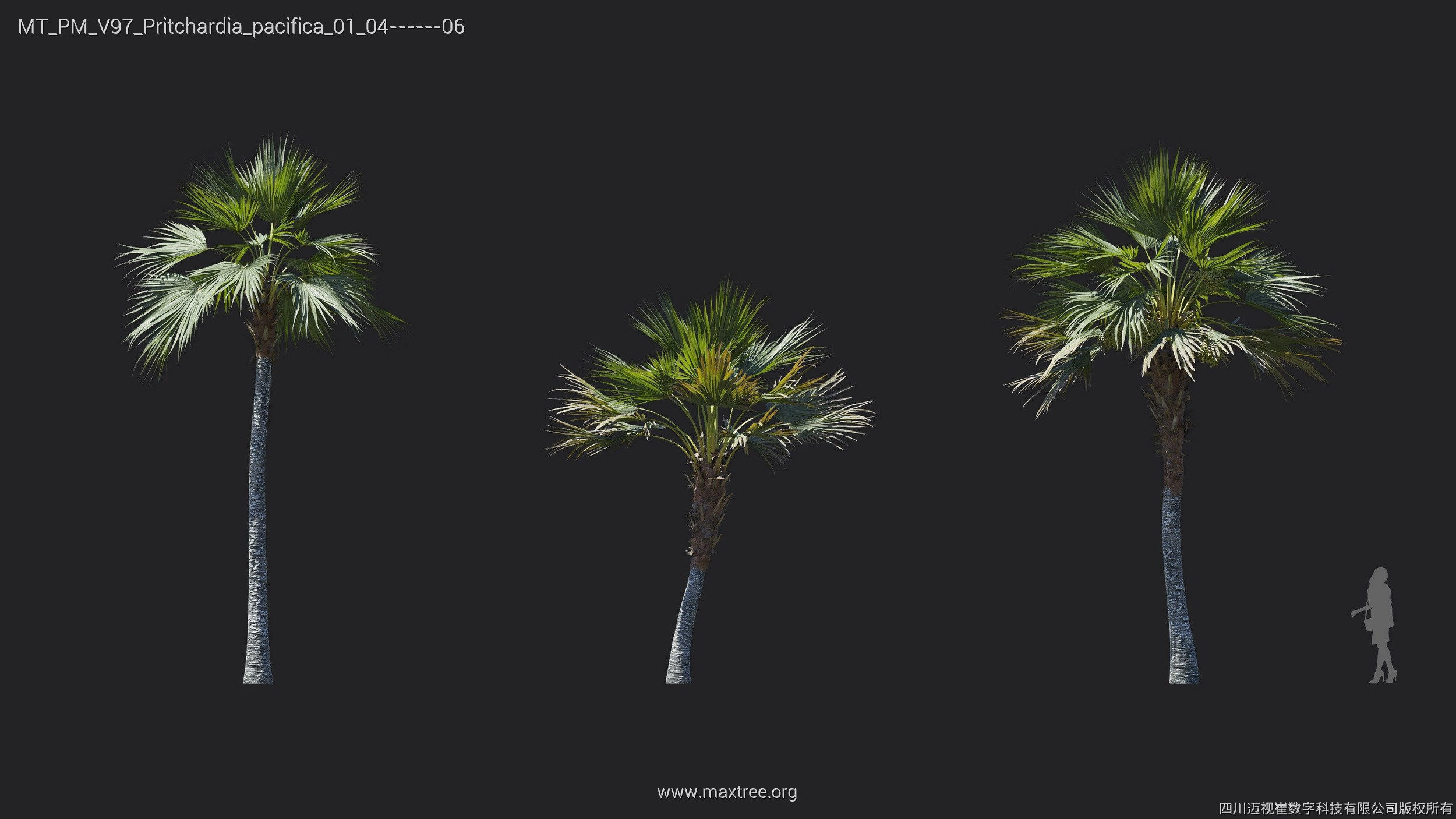 Maxtree Plant Models Vol 97 - Mesh 3D model_22