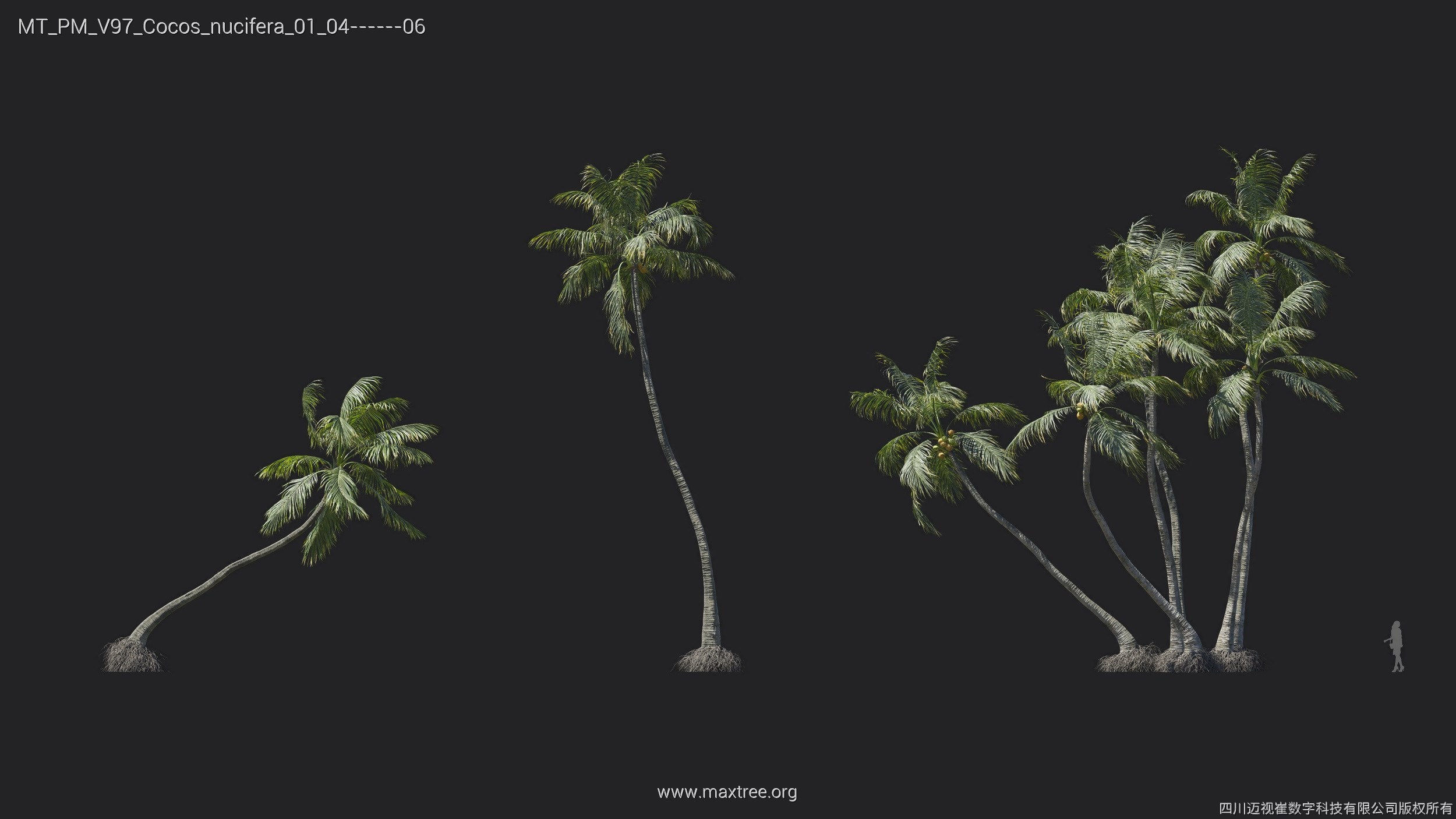 Maxtree Plant Models Vol 97 - Mesh 3D model_12