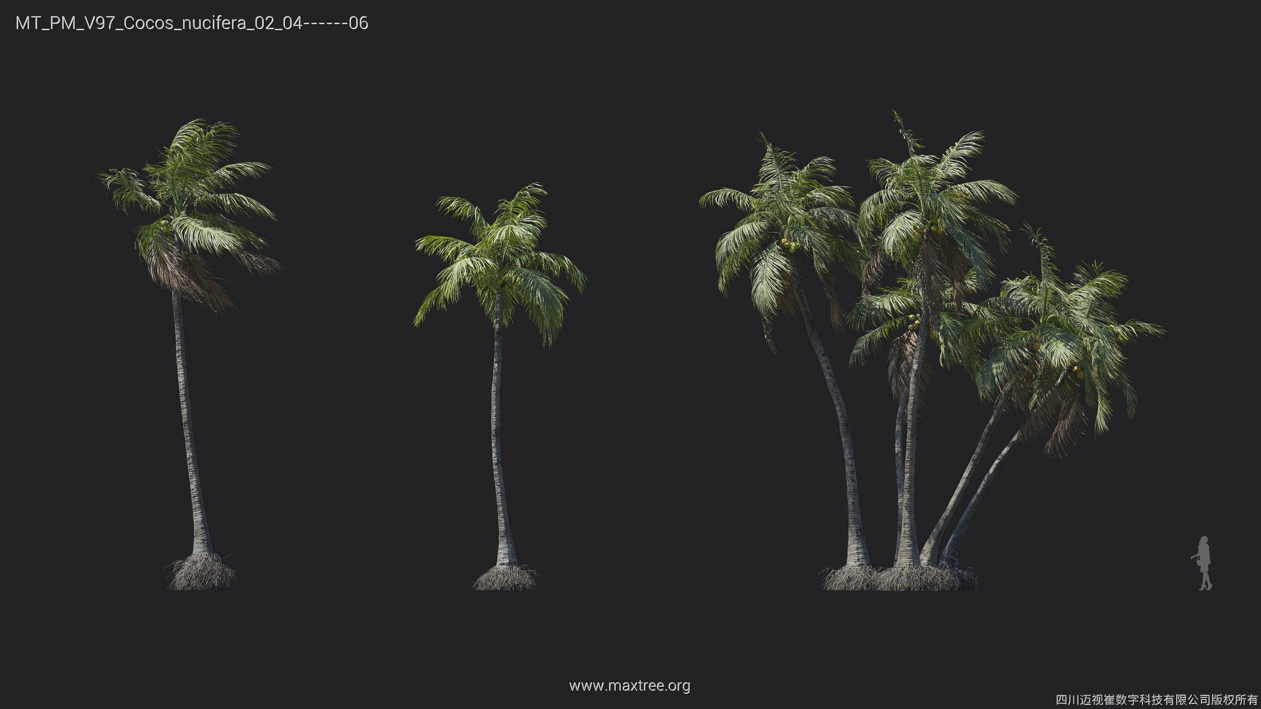Maxtree Plant Models Vol 97 - Mesh 3D model_14