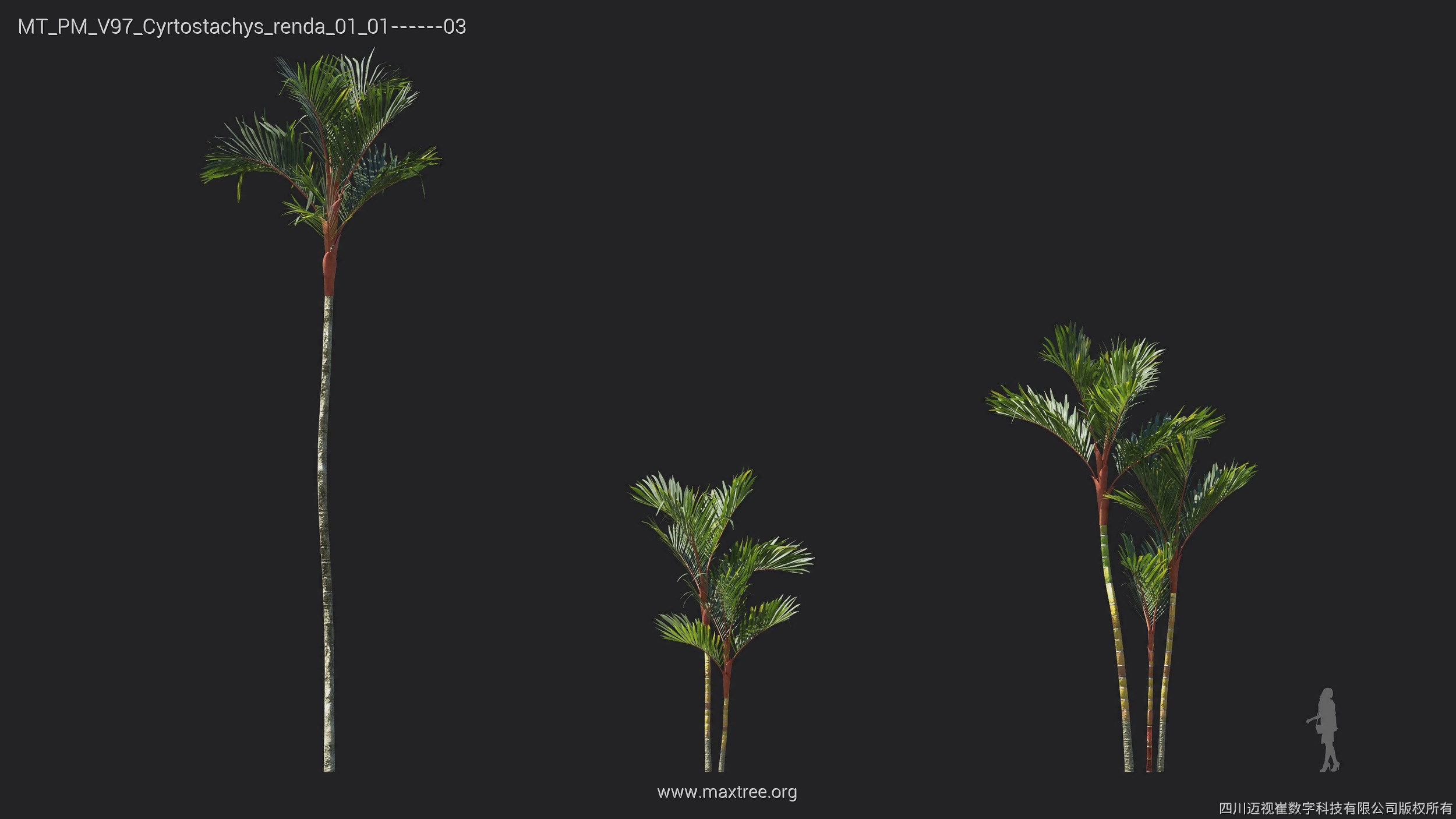 Maxtree Plant Models Vol 97 - Mesh 3D model_15