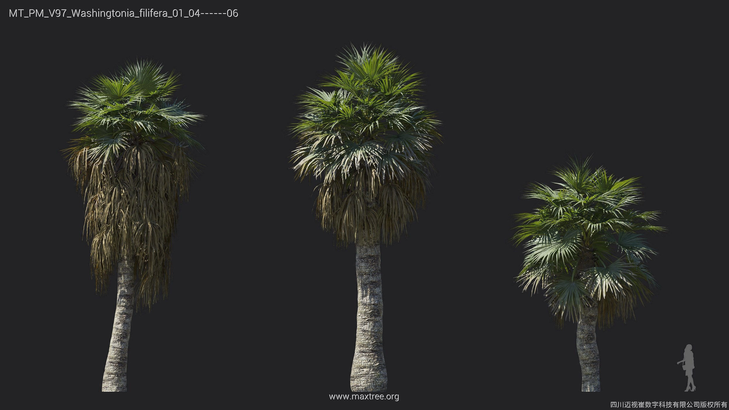 Maxtree Plant Models Vol 97 - Mesh 3D model_32