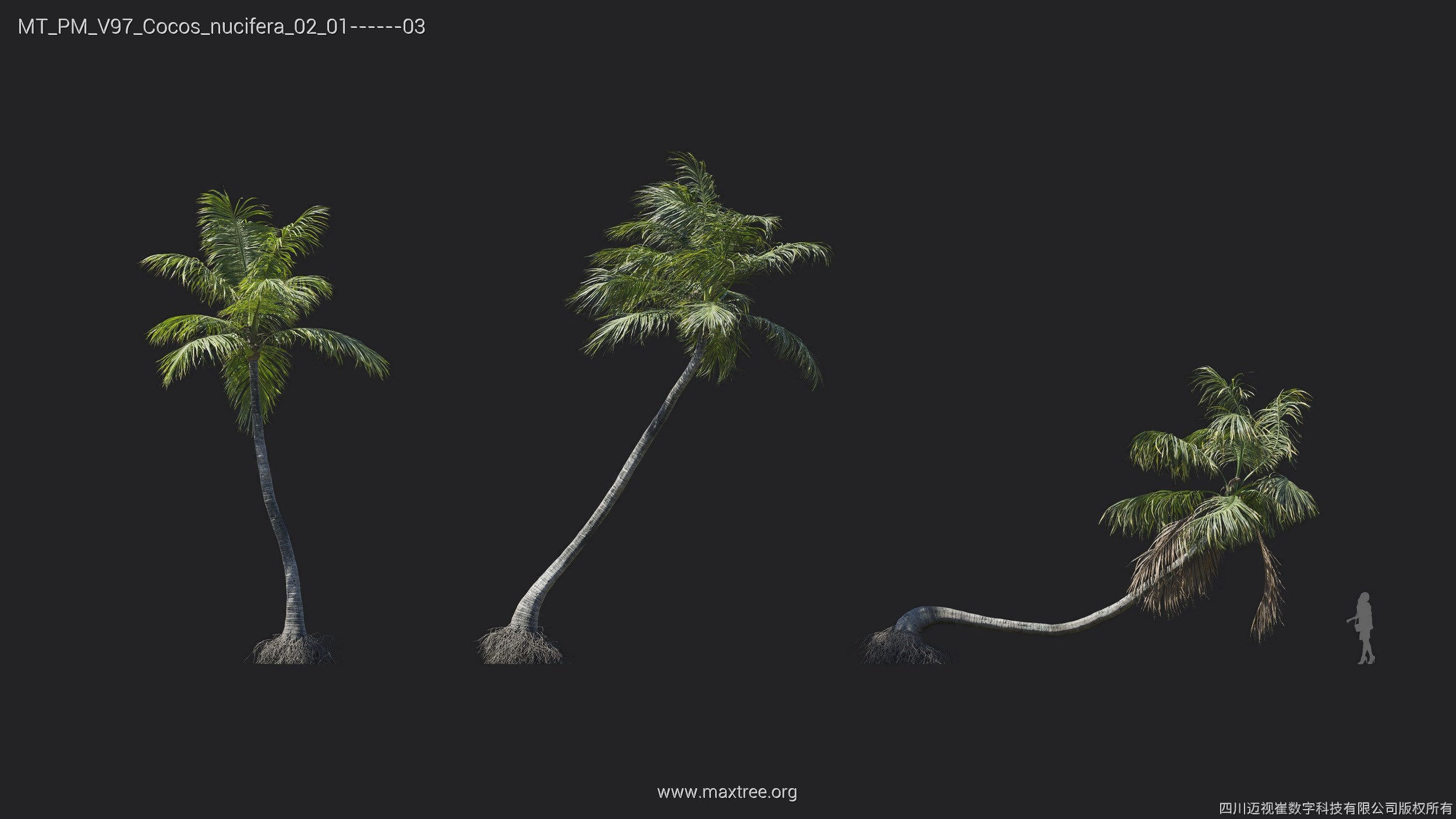 Maxtree Plant Models Vol 97 - Mesh 3D model_13