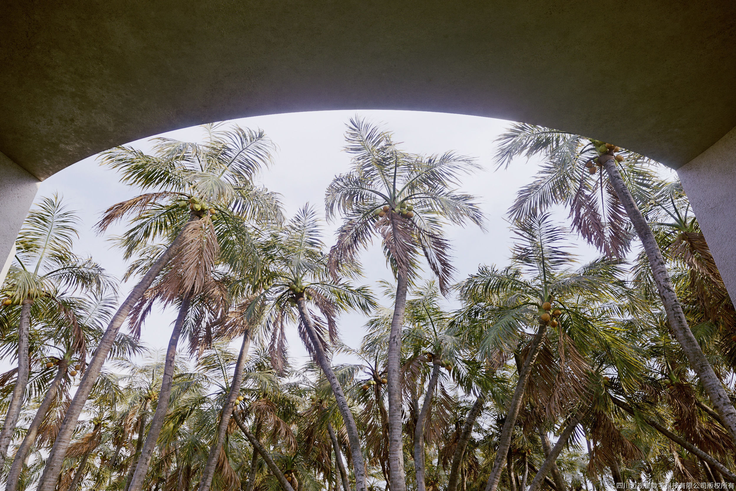 Maxtree Plant Models Vol 97 - Mesh 3D model_2