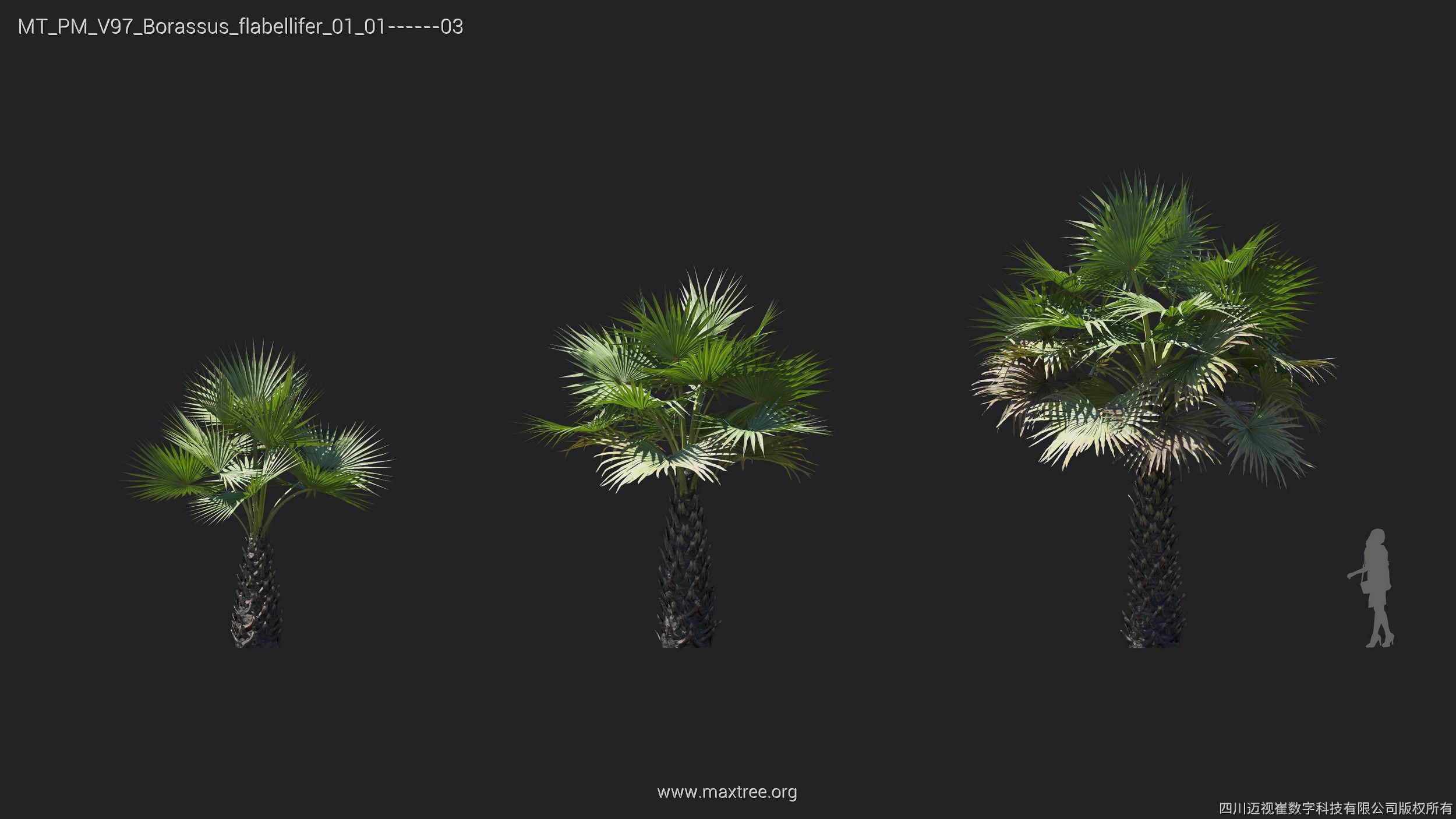 Maxtree Plant Models Vol 97 - Mesh 3D model_9