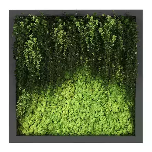 Vertical garden 211