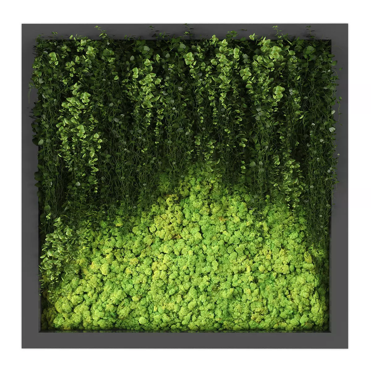 Vertical garden 211 Low-poly 3D model_0