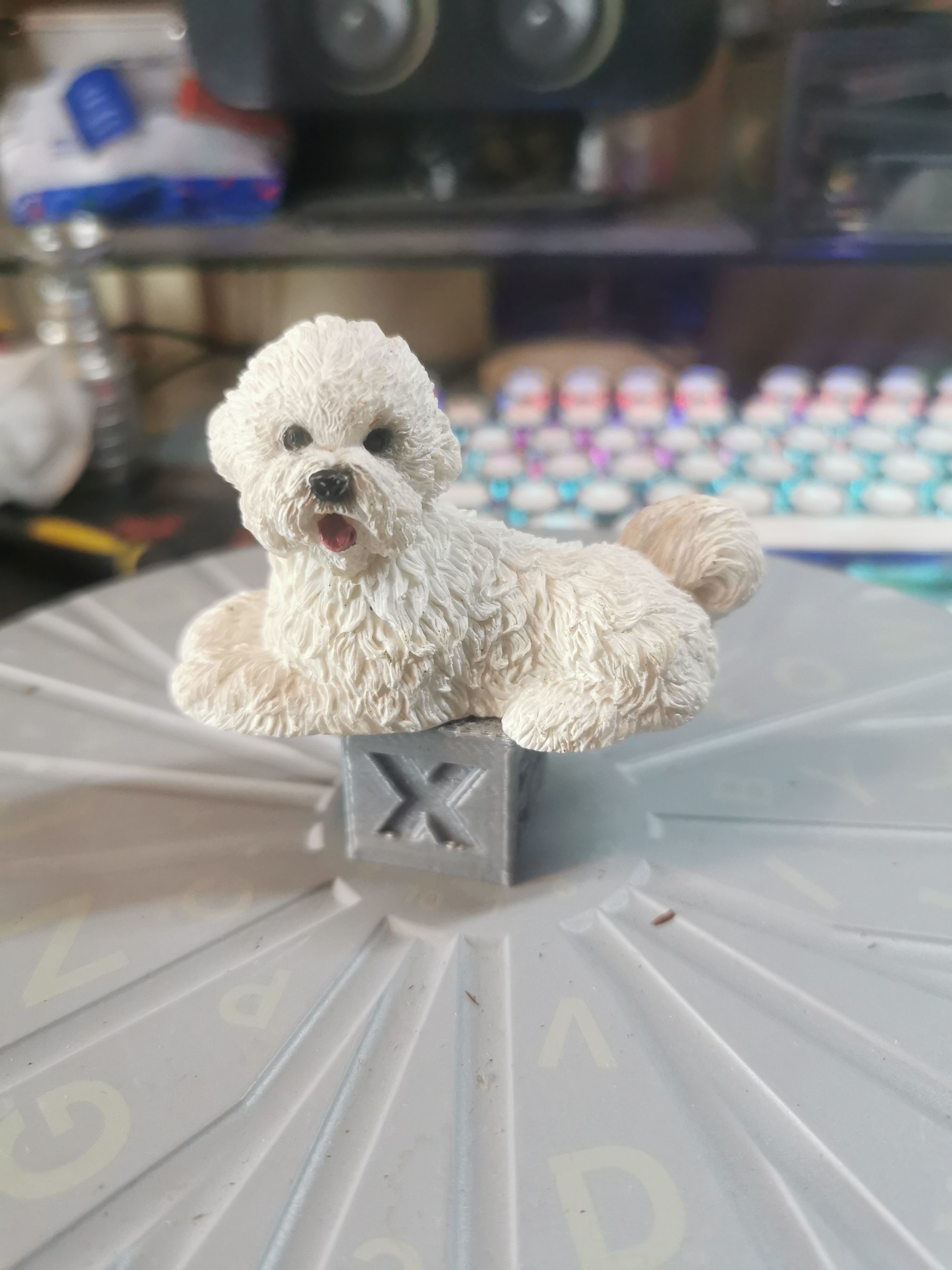 doggy pack 2 3D model 3D printable | CGTrader