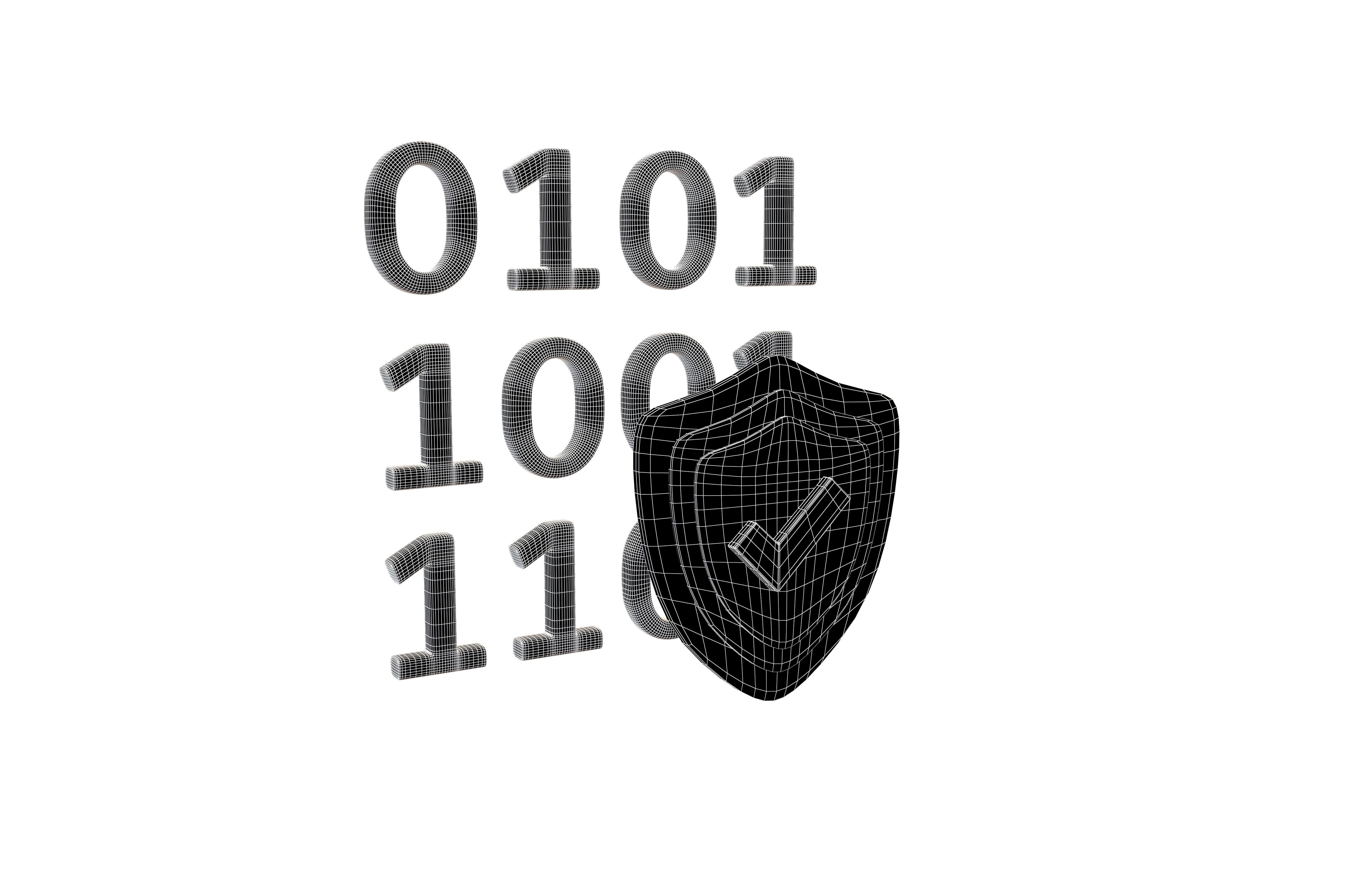 Data Protect Icon v1 001 Low-poly 3D model_5