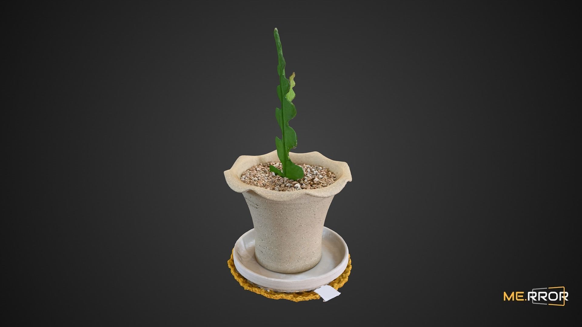 Cactus Plant Pot 3D model_4