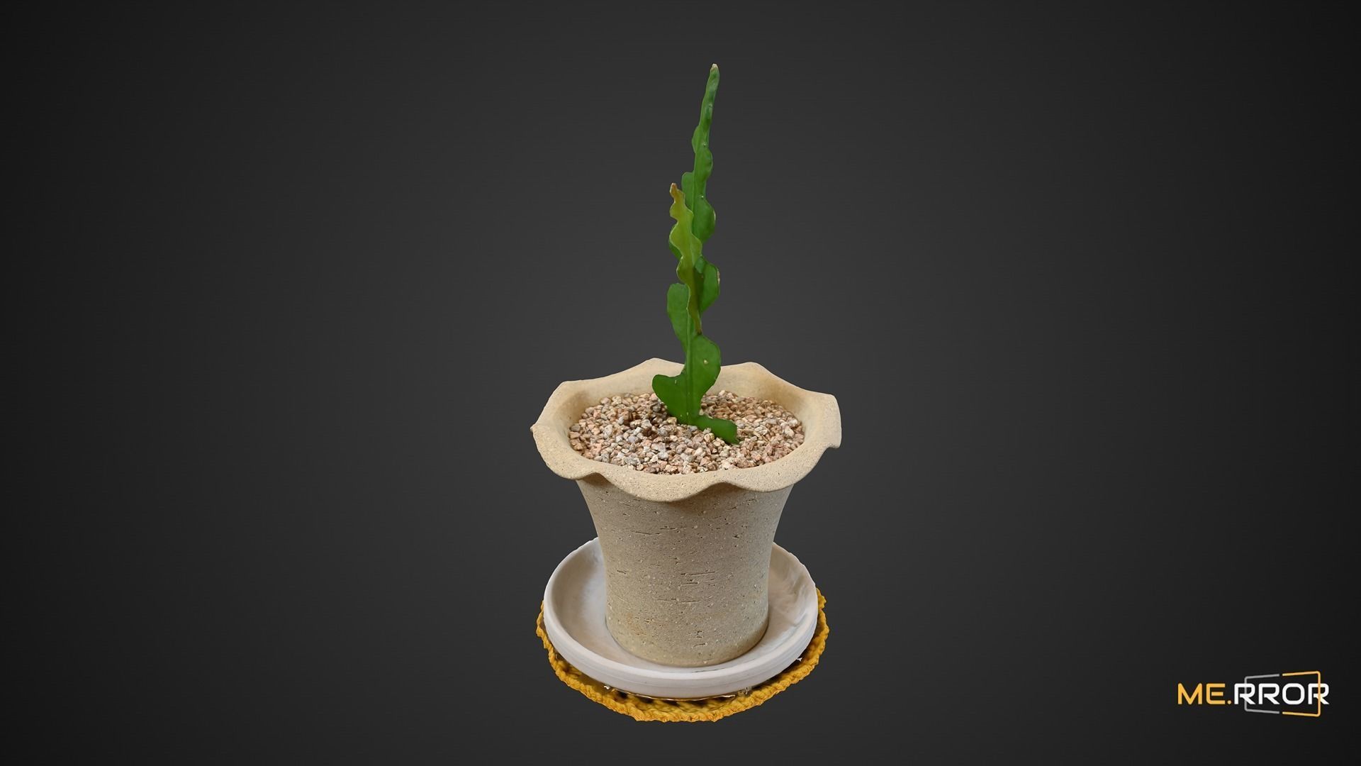 Cactus Plant Pot 3D model_8