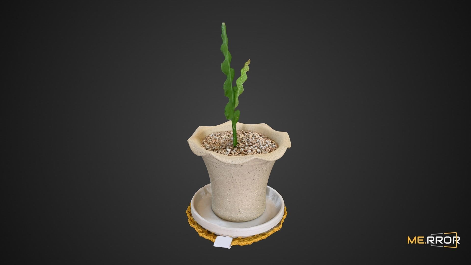 Cactus Plant Pot 3D model_5