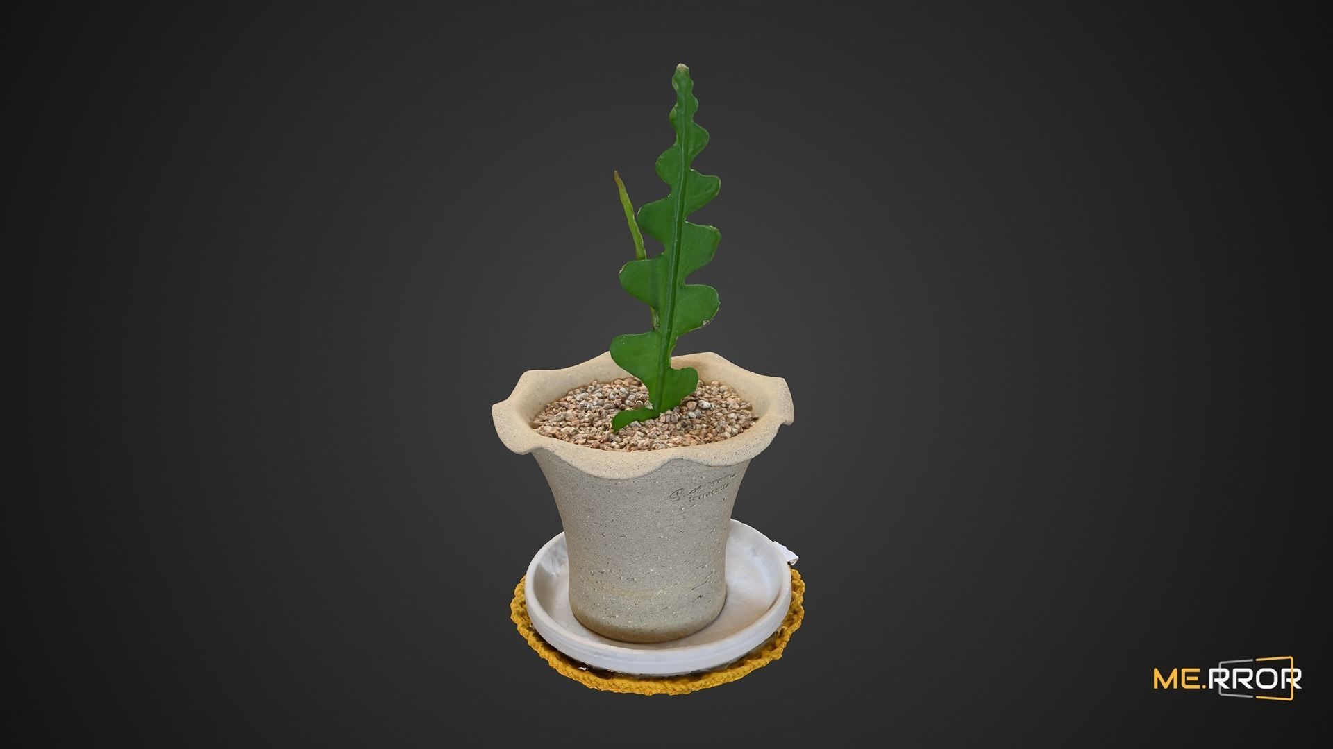 Cactus Plant Pot 3D model_2