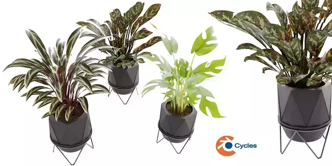 Collection plant vol 3 blender model