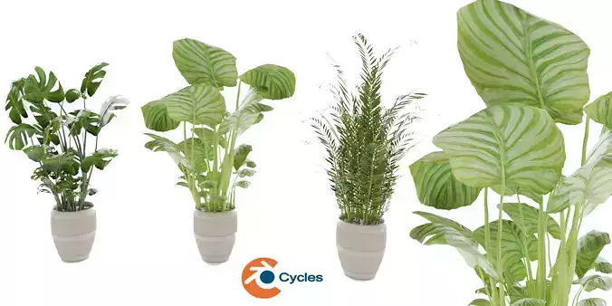 Collection plant vol 4 - blender model