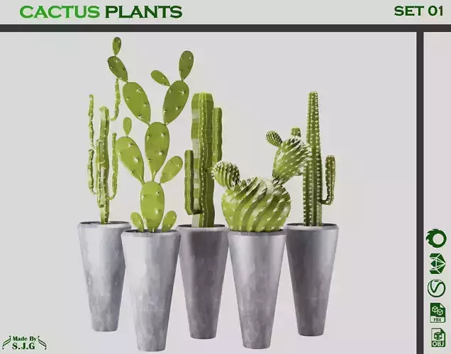 indoor cactus set 01 