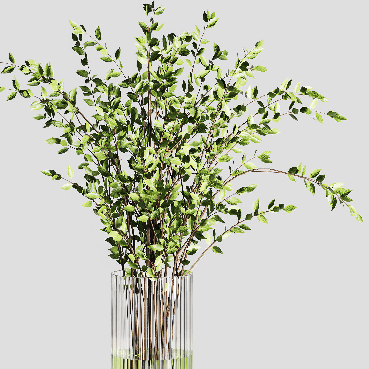 Decorative Set 09 3D model_4