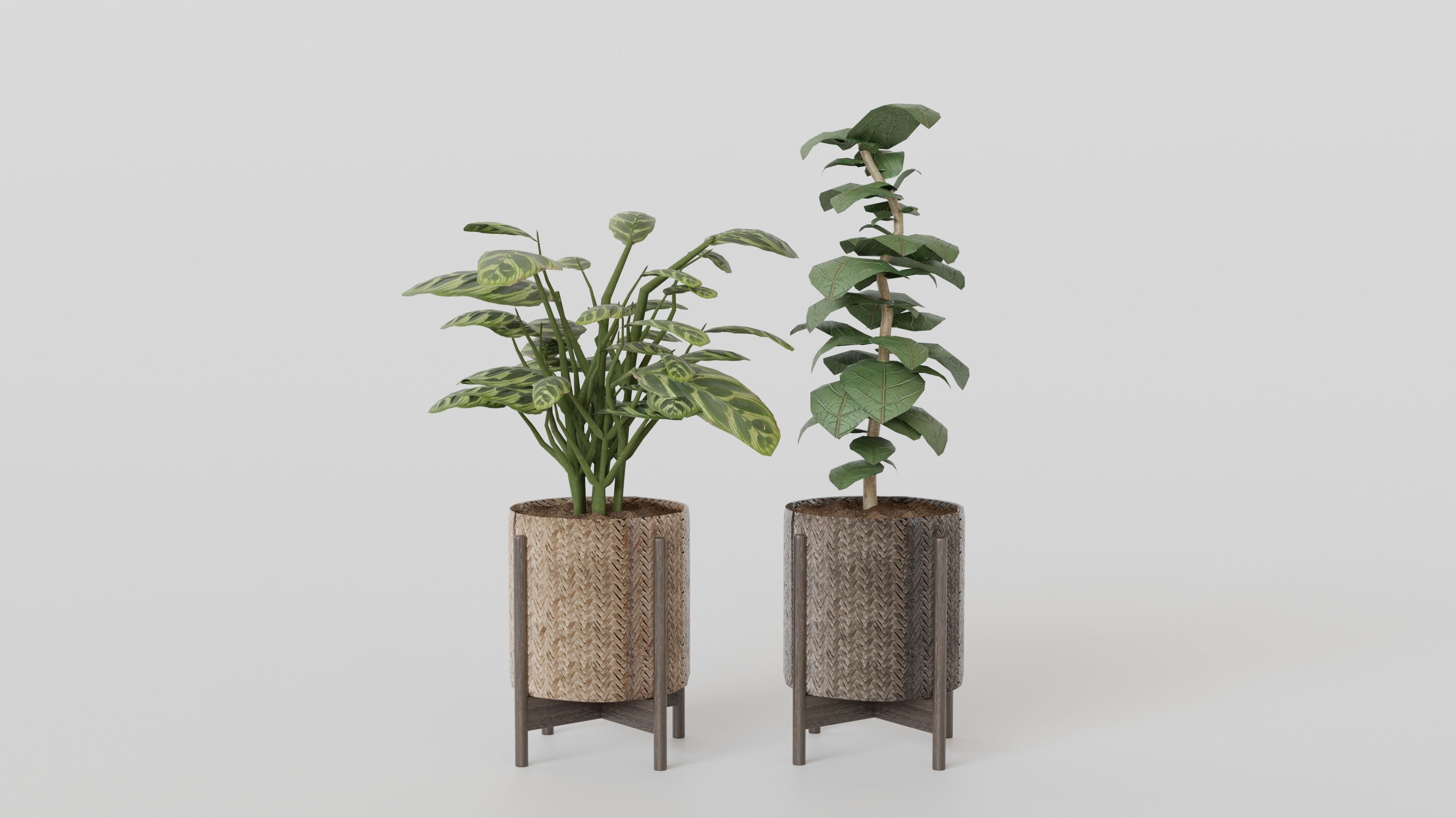 Pots with Plants 3D model_4