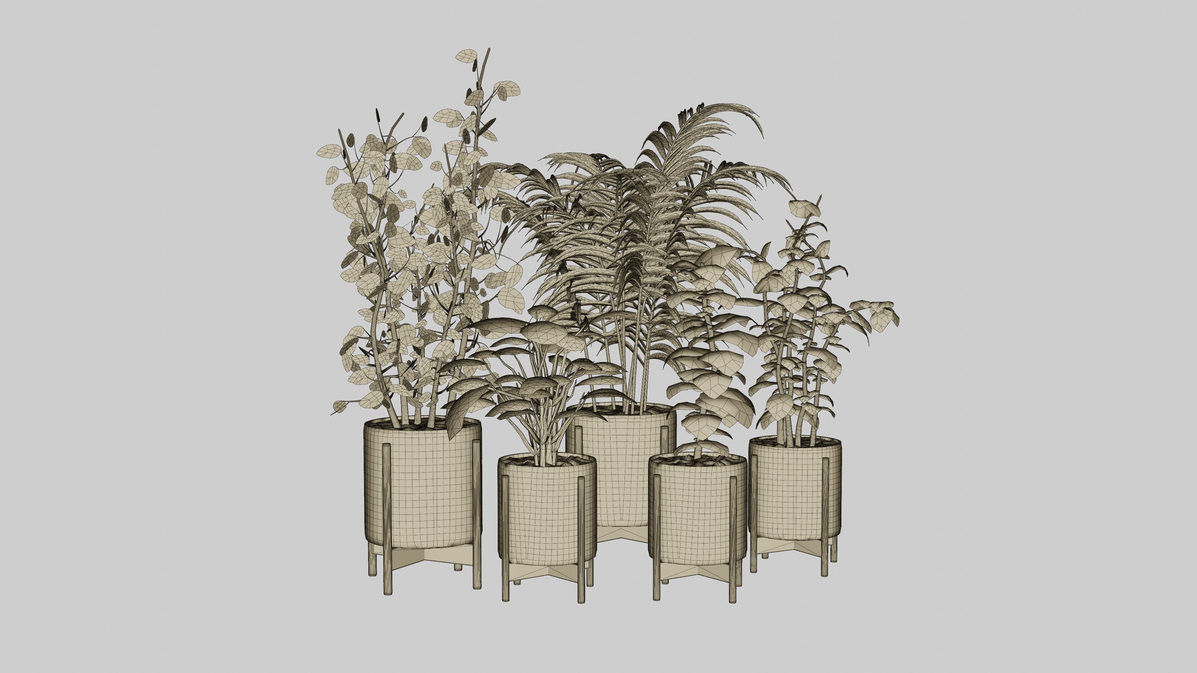 Pots with Plants 3D model_6