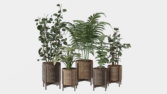 Pots with Plants 3D model
