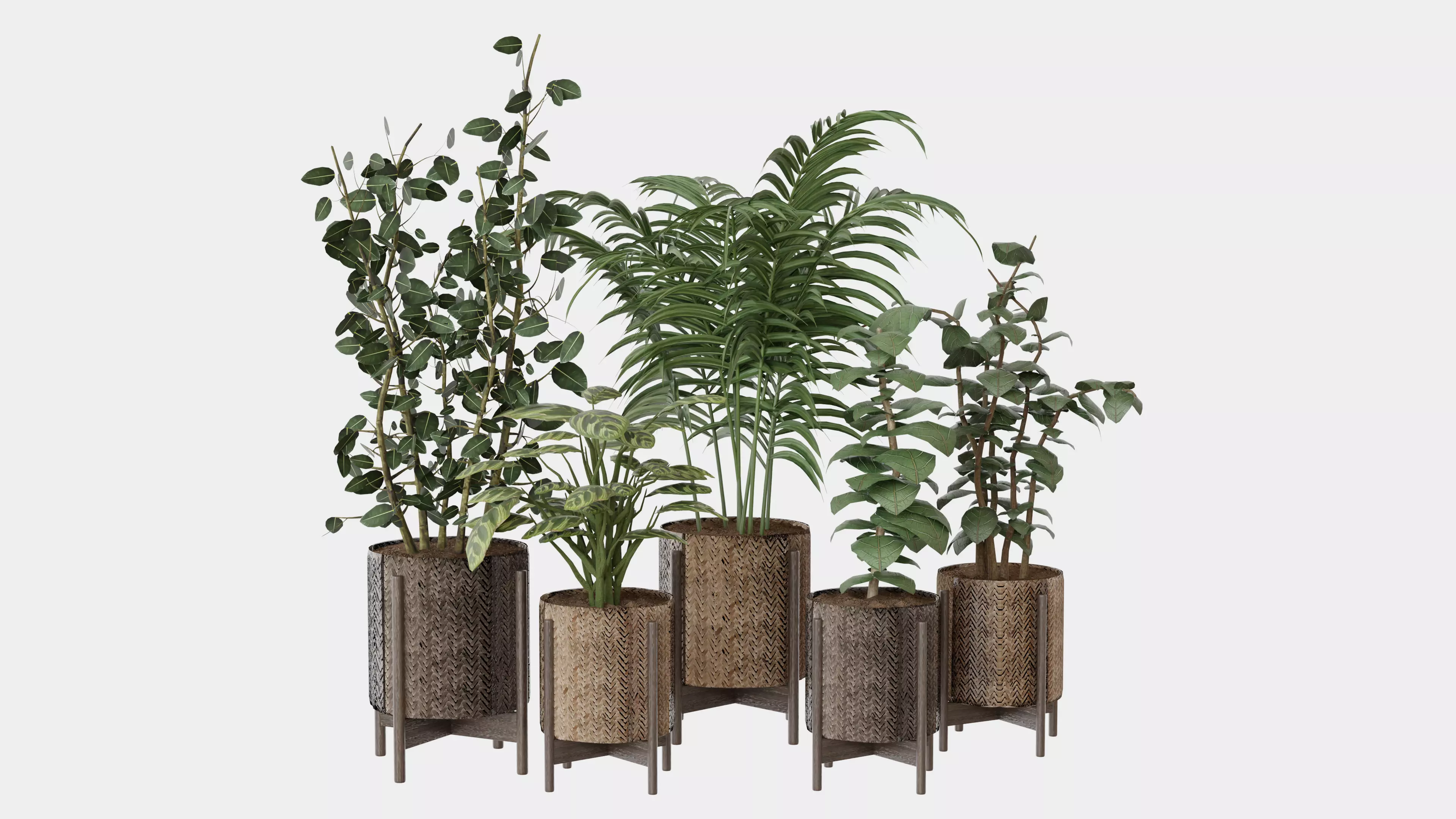 Pots with Plants 3D model_0