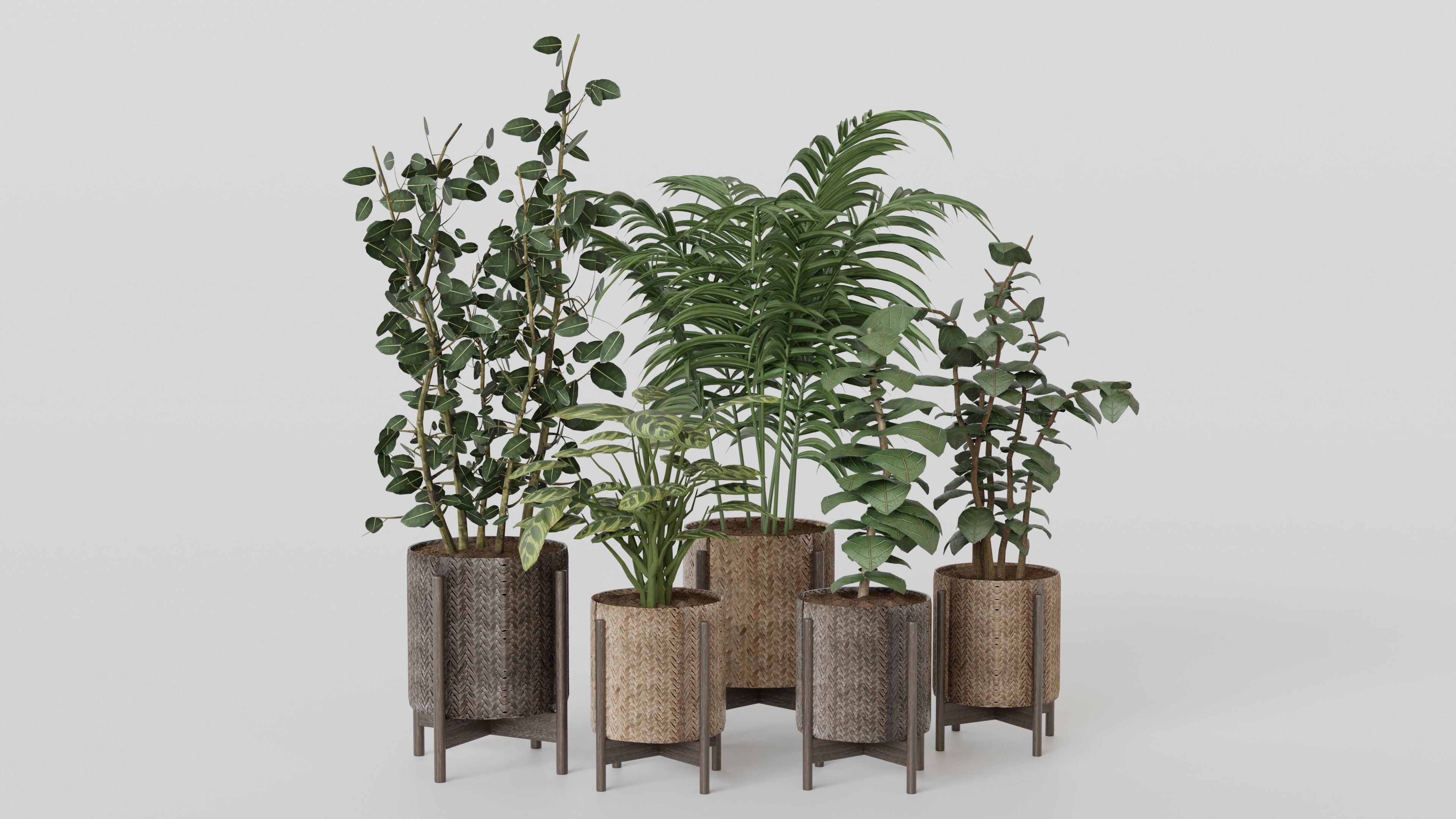 Pots with Plants 3D model_5