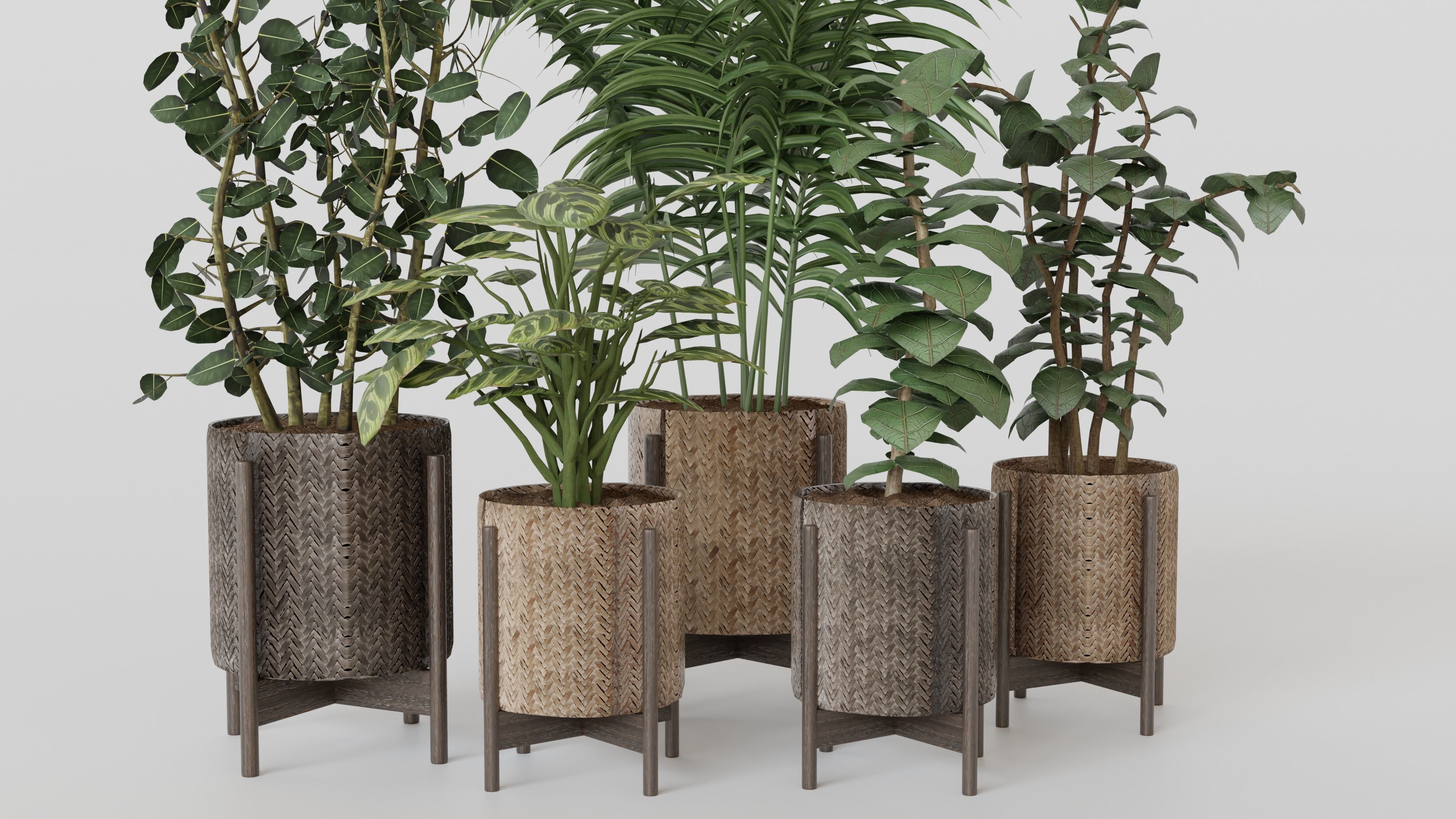 Pots with Plants 3D model_1