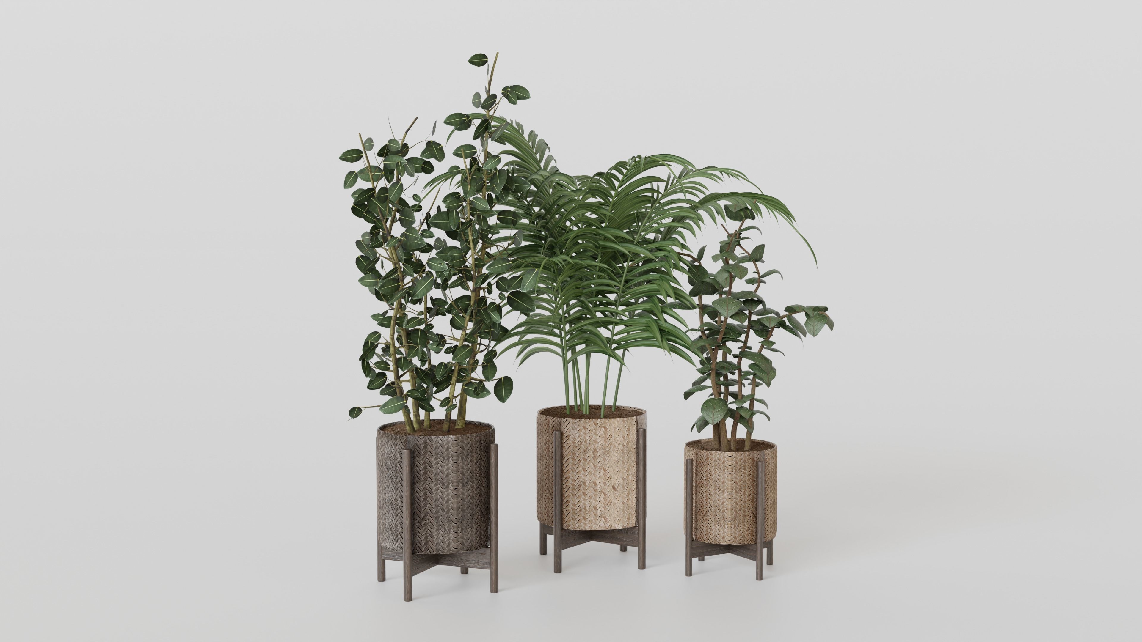 Pots with Plants 3D model_3