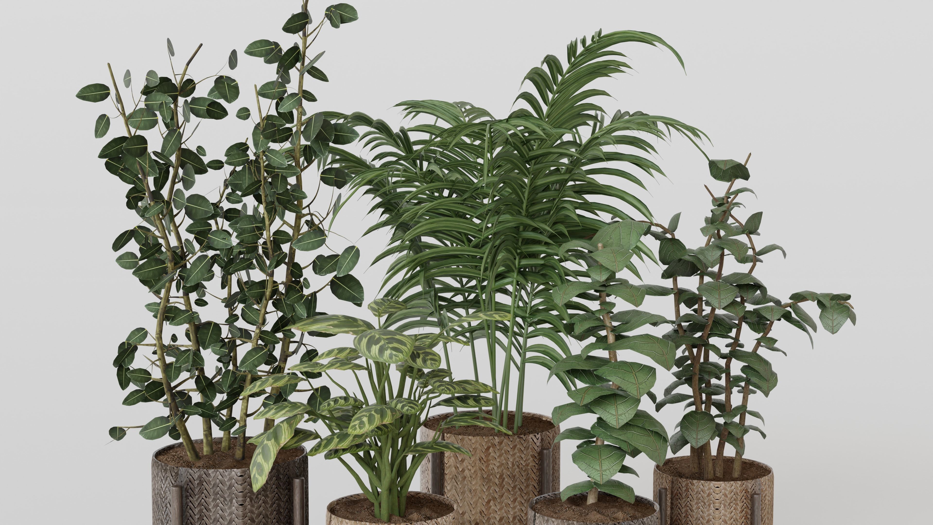 Pots with Plants 3D model_2