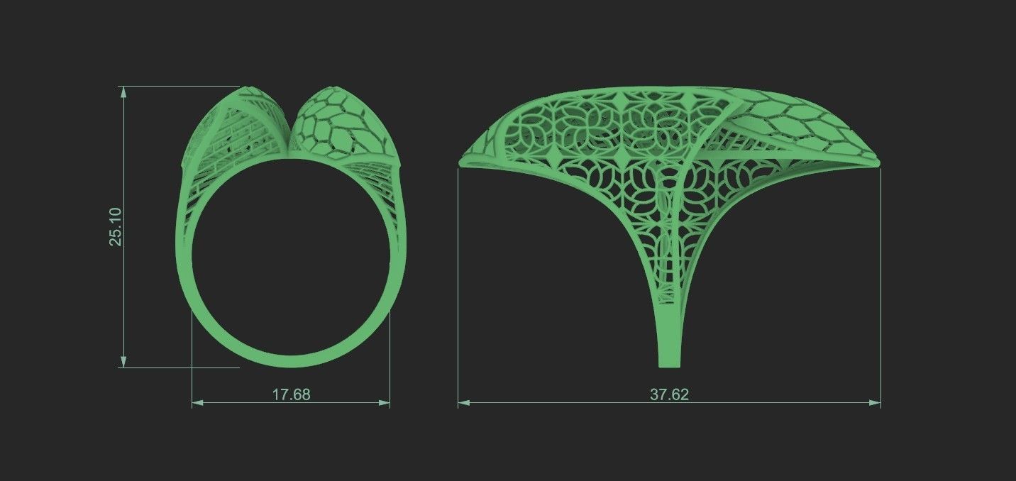 fusion ring 3D print model_1