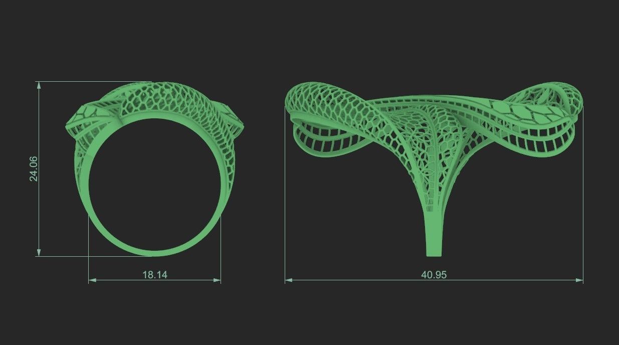 fusion ring 3D print model_1