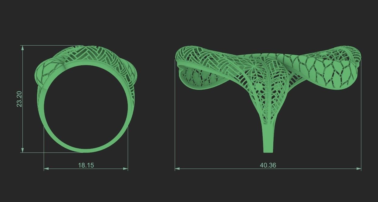 fusion ring 3D print model_1