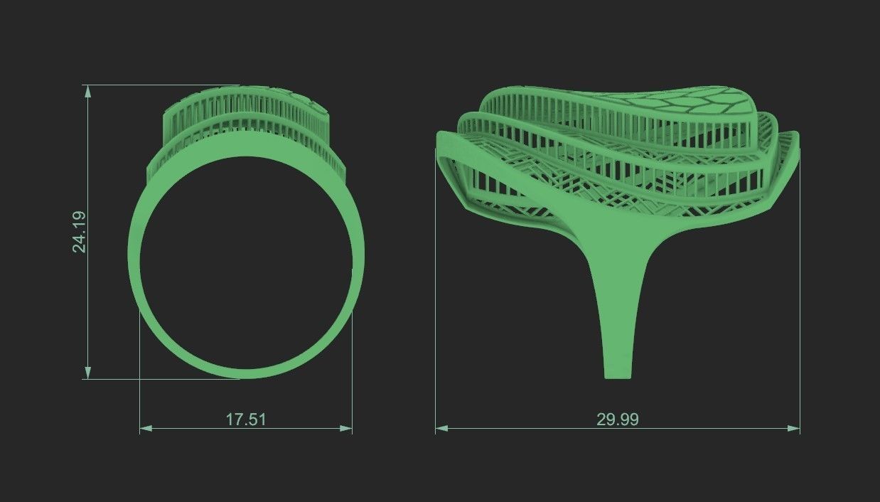 fusion ring 3D print model_1