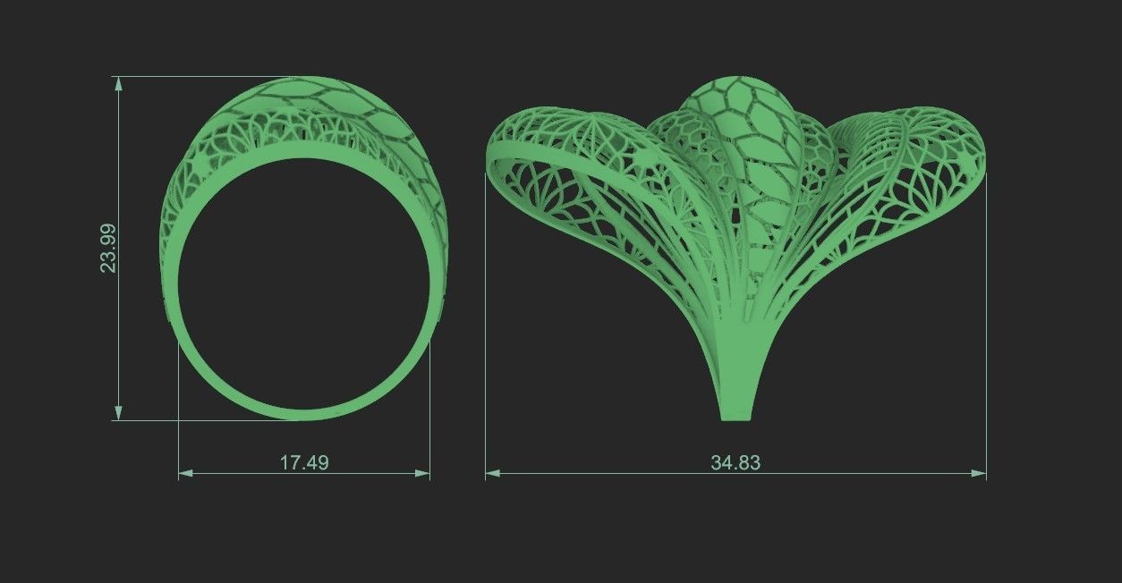 fusion ring 3D print model_1