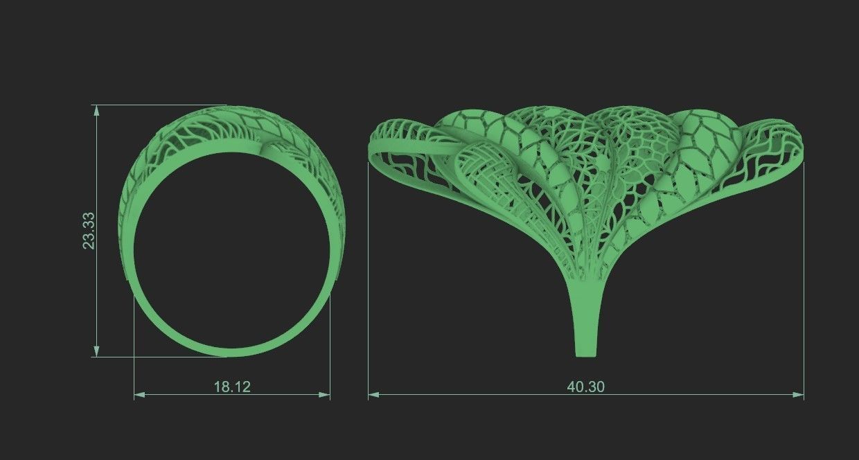 fusion ring 3D print model_1