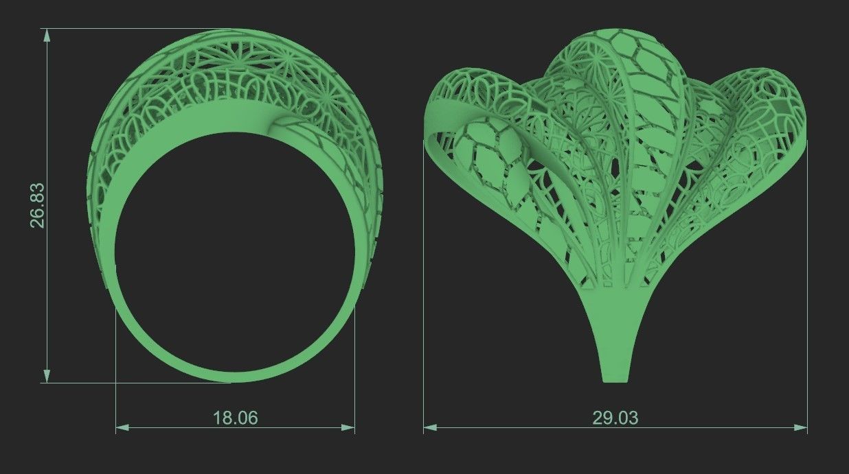 fusion ring 3D print model_1