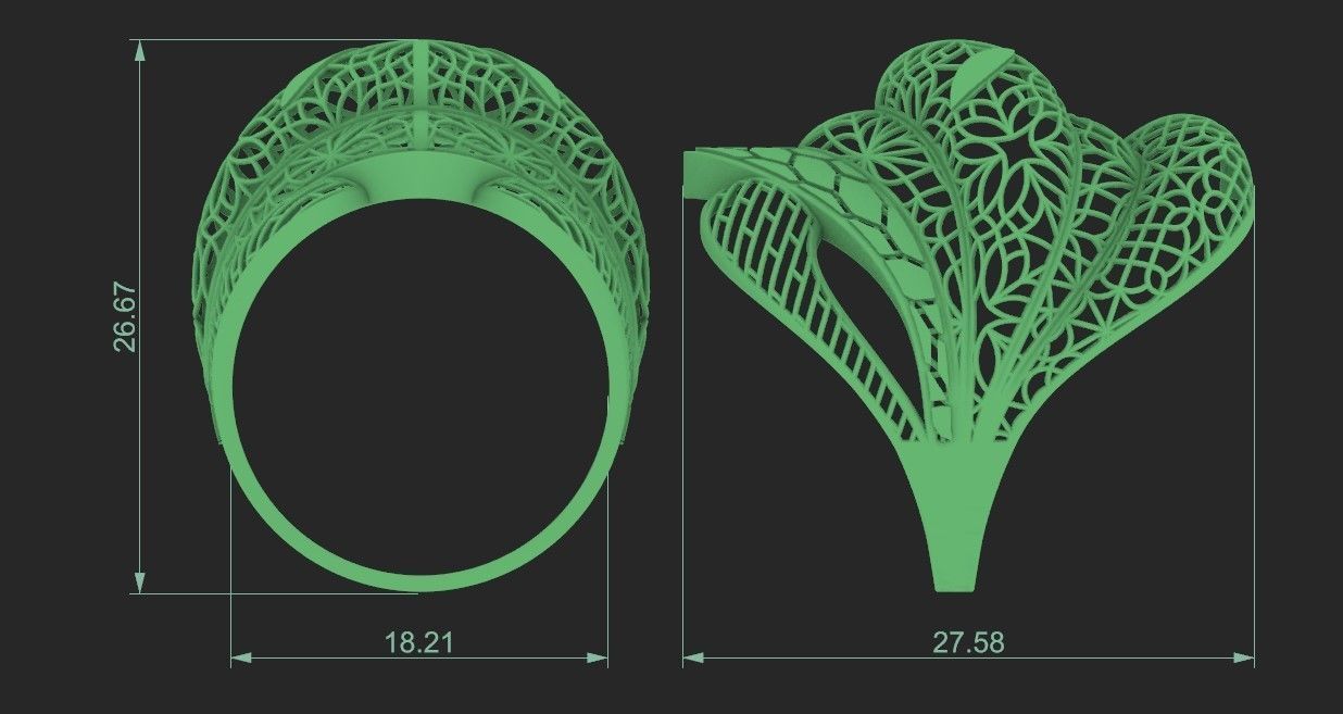 fusion ring 3D print model_1