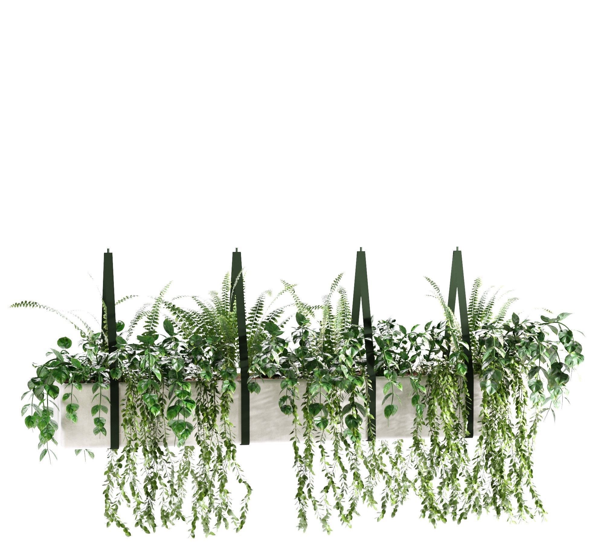 Hanging plant-1 Indoor plant 3D model_5