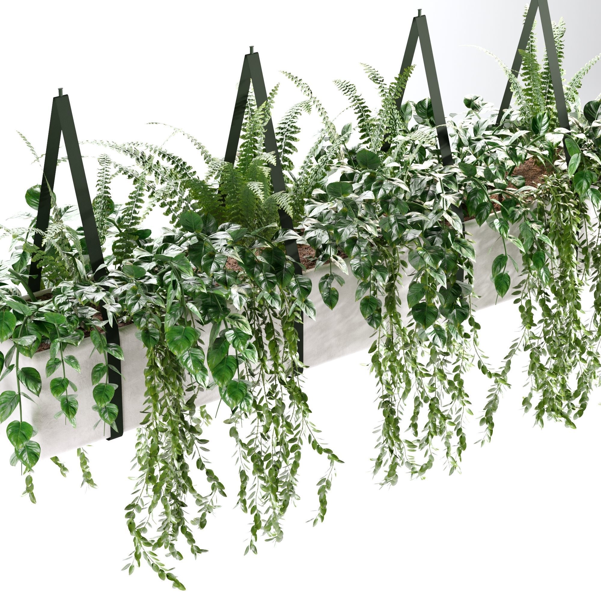 Hanging plant-1 Indoor plant 3D model_3