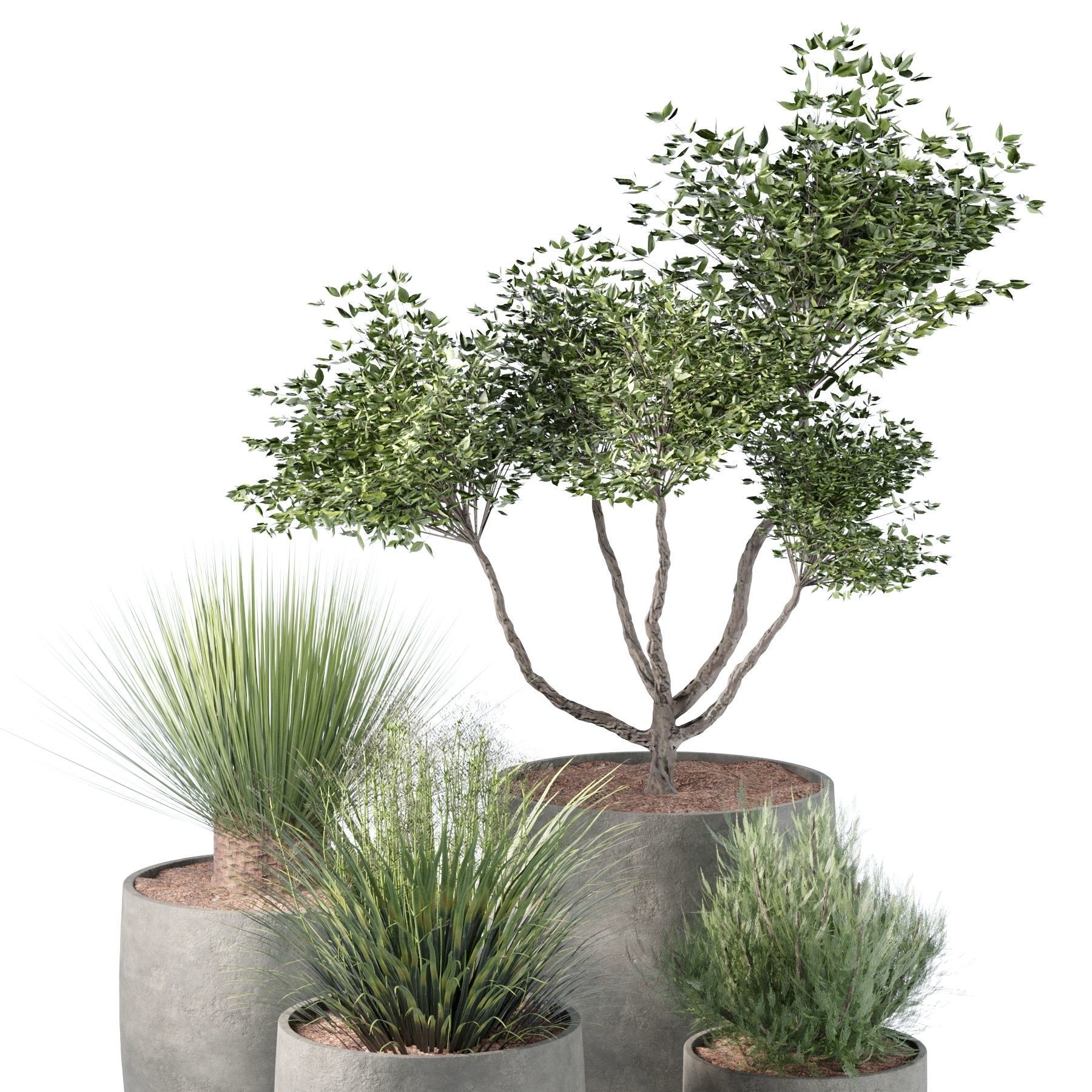 indoor set 11 3D model_2