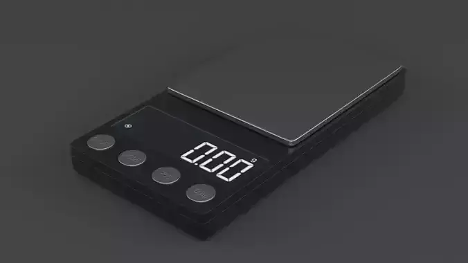 Digital Scale 3D model