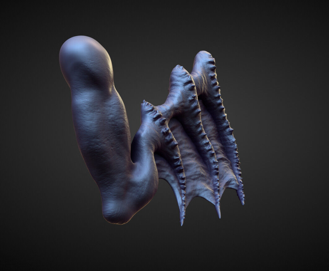 WING17 high poly sculpt 3D model_3