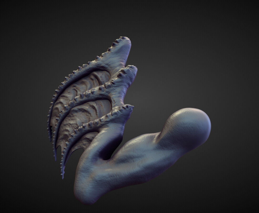 WING17 high poly sculpt 3D model_2