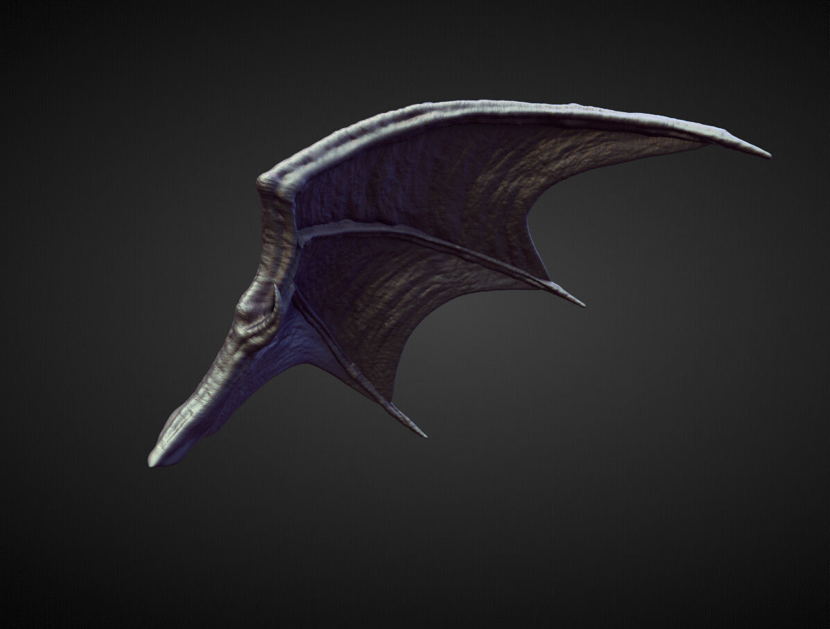 WING23 high poly sculpt 3D model_3