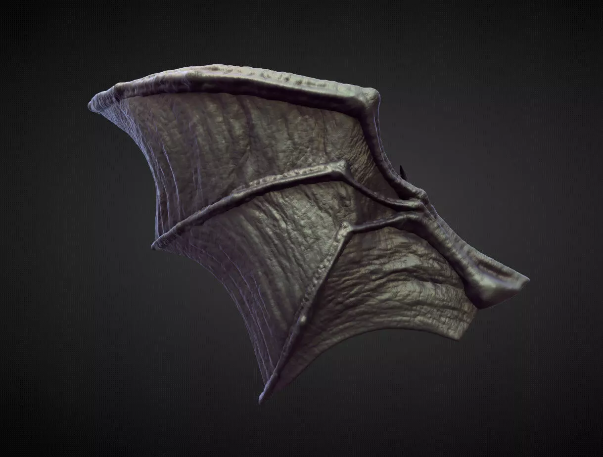 WING23 high poly sculpt 3D model_0
