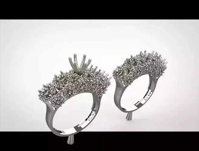 Women ring       twins rings