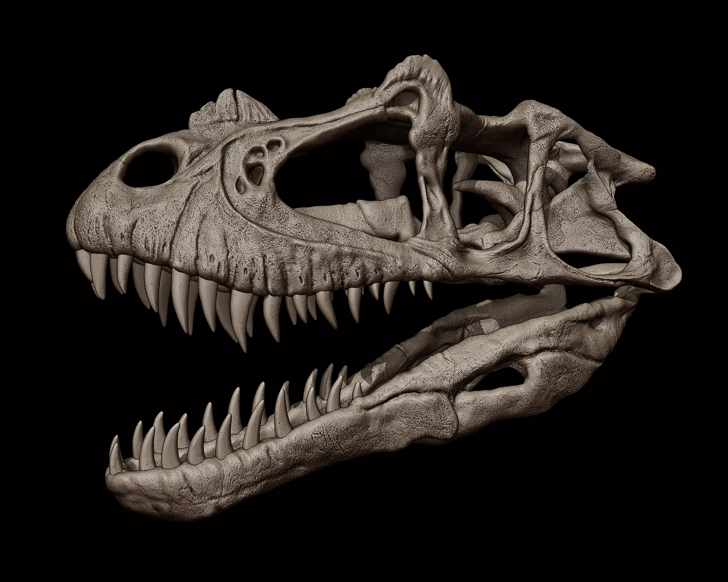 Ceratosaurus Skull 3D print model