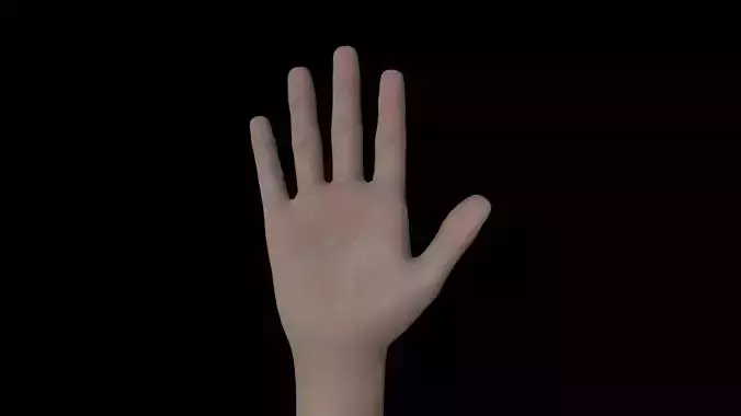 HAND05