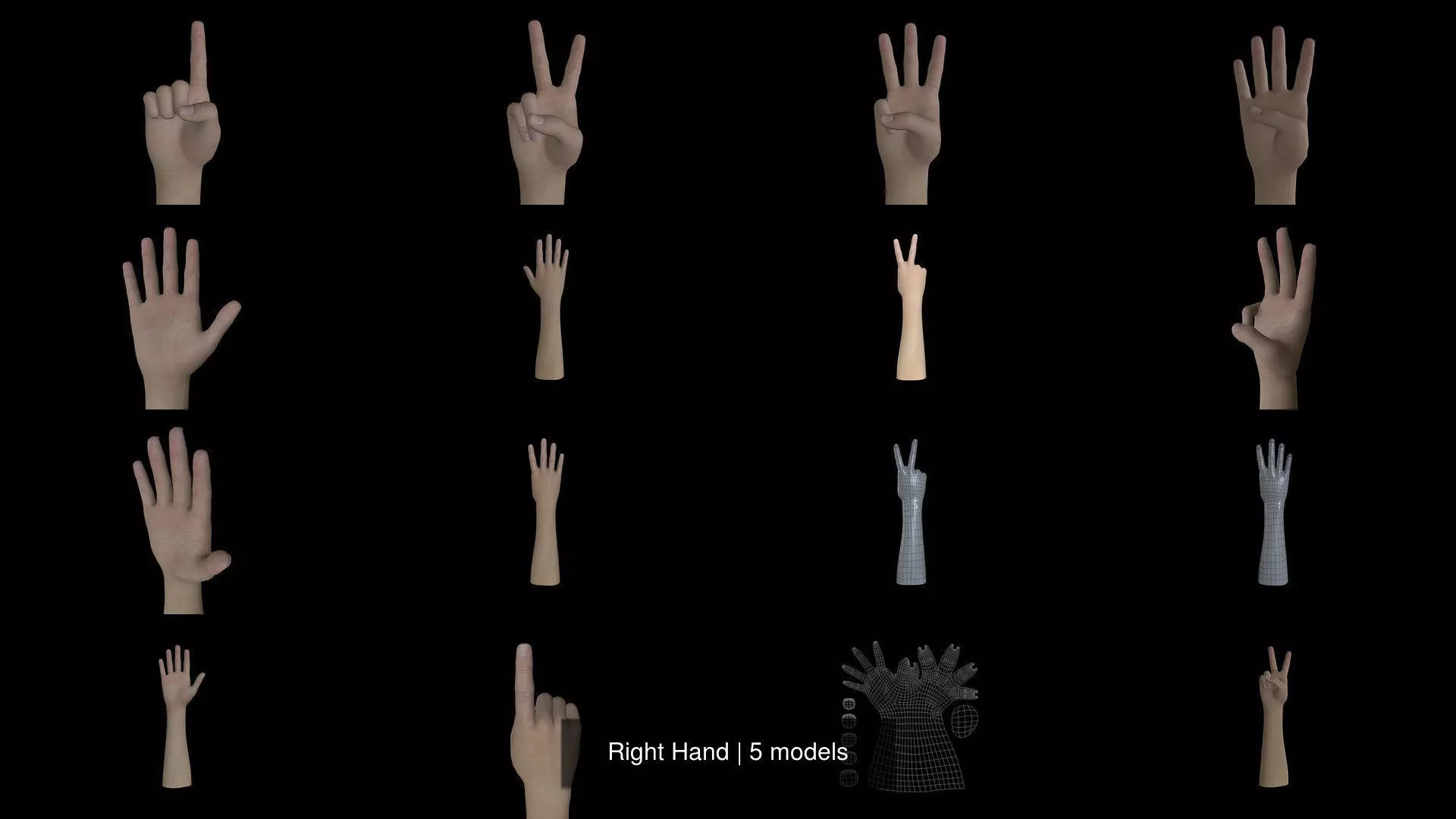 Right Hand 3D Model Collection_0