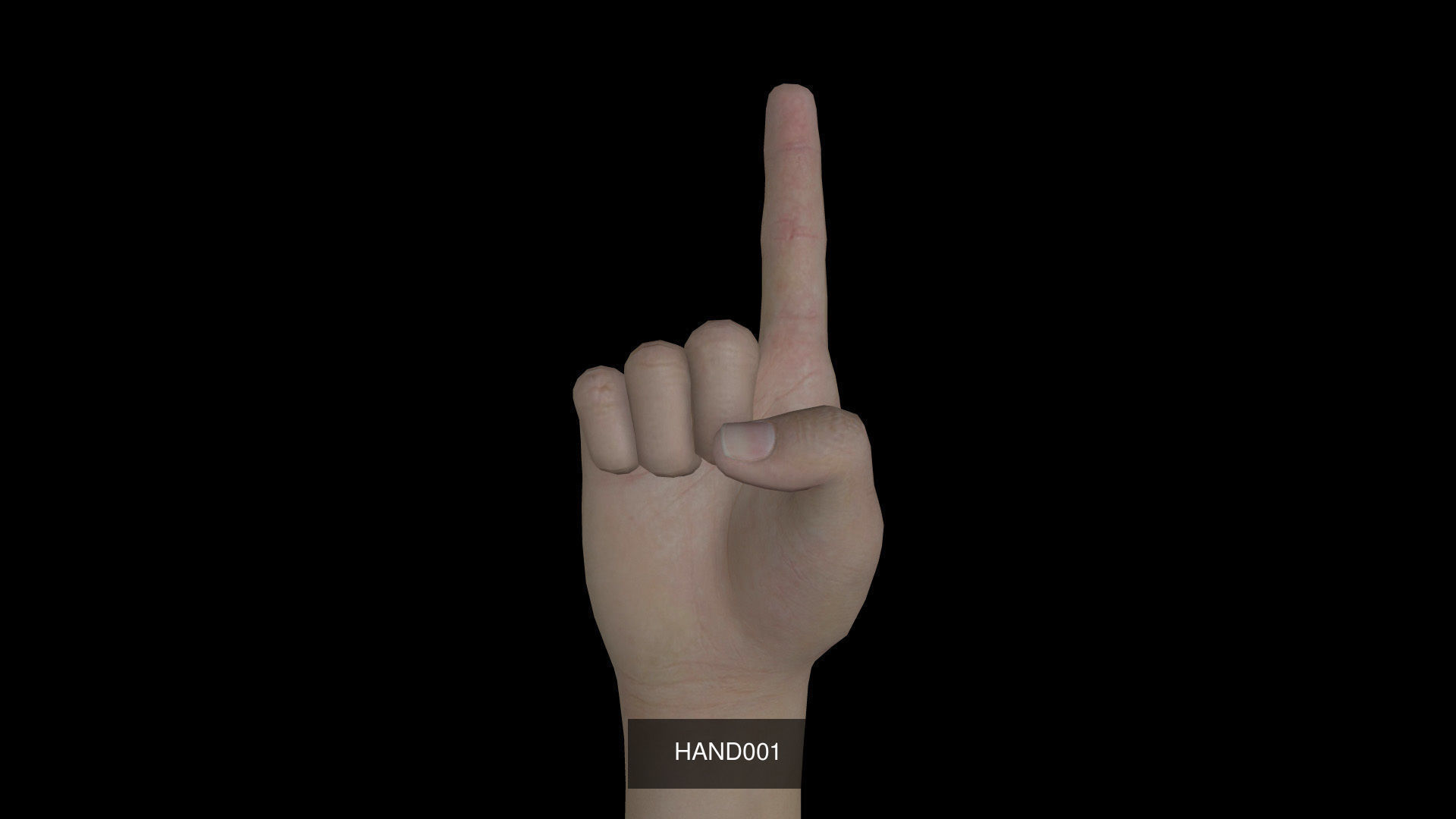 Right Hand 3D Model Collection_1