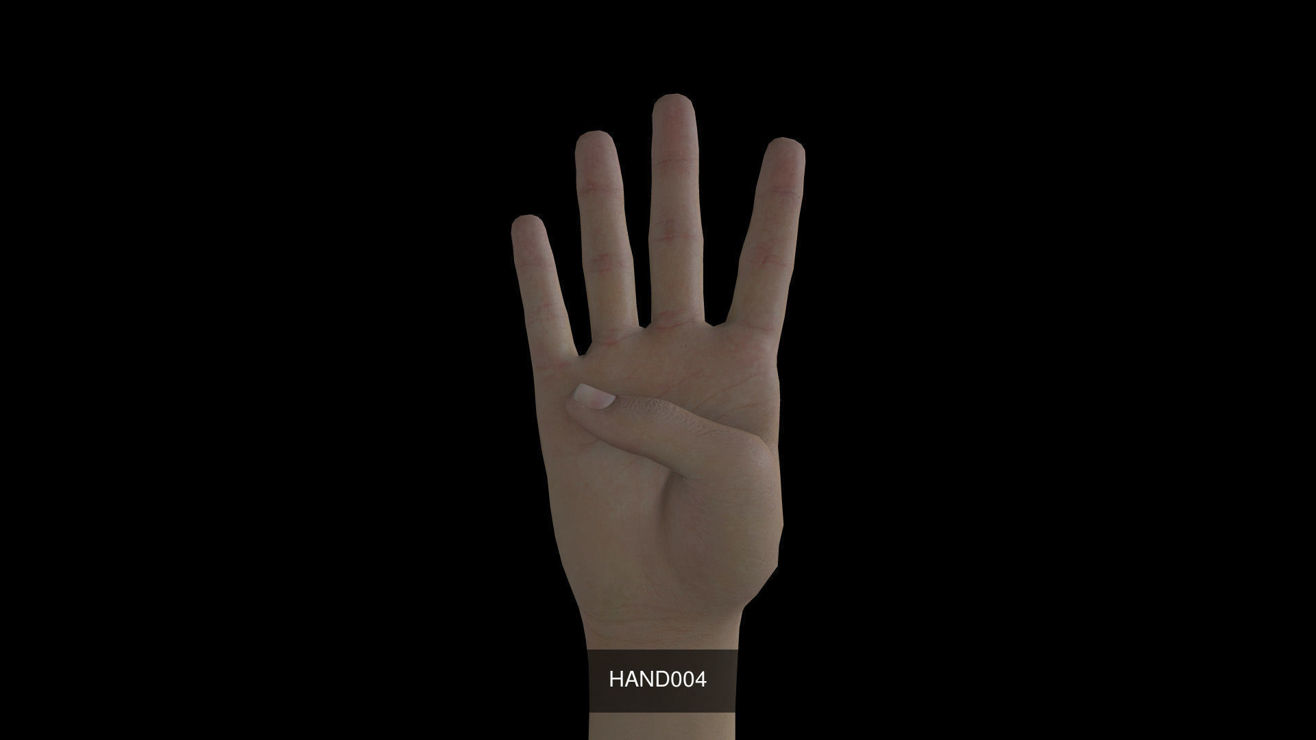Right Hand 3D Model Collection_4